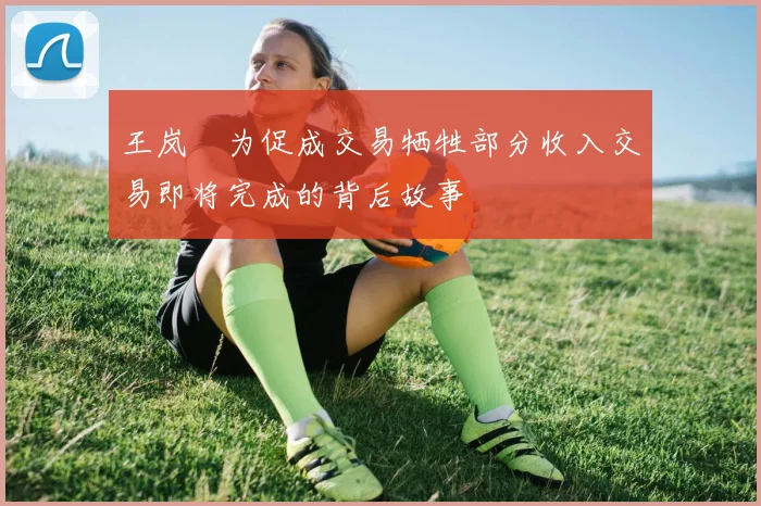 王岚嵚为促成交易牺牲部分收入交易即将完成的背后故事