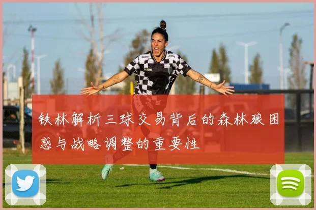 铁林解析三球交易背后的森林狼困惑与战略调整的重要性